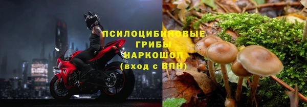 стаф Верхний Тагил